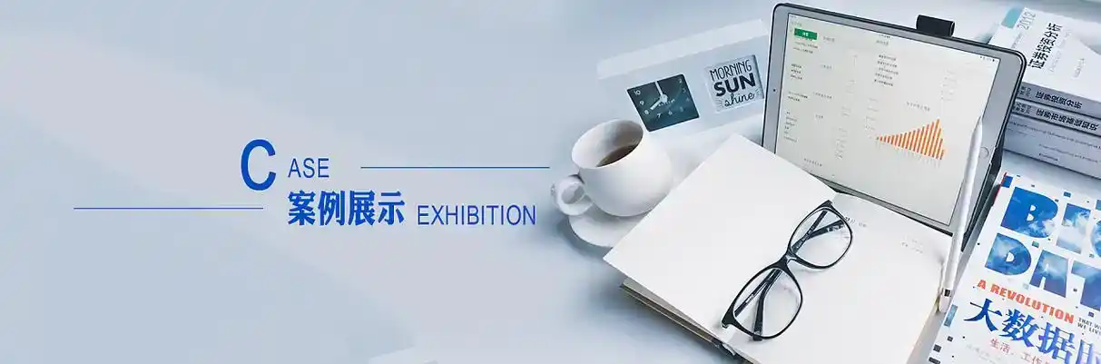 海西蒙古族藏族自治州软件开发